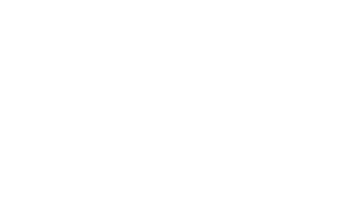 Wellspring Logo_Diamond_white-04.png